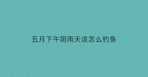 五月下午阴雨天该怎么钓鱼(五月份下雨天怎么钓鱼)