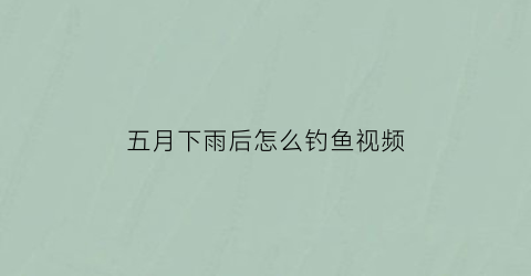 五月下雨后怎么钓鱼视频