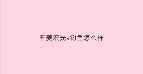 五菱宏光v钓鱼怎么样(五菱宏光v车主论坛)