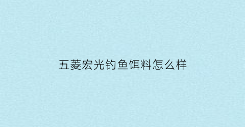 五菱宏光钓鱼饵料怎么样(五菱宏光钓鱼)
