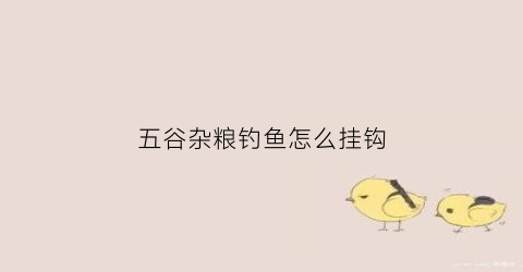 五谷杂粮钓鱼怎么挂钩(五谷杂粮钓鱼打窝料怎样制作)