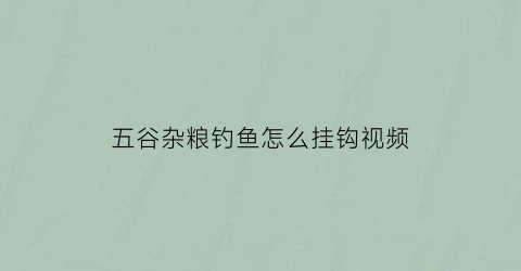 “五谷杂粮钓鱼怎么挂钩视频(五谷杂粮钓鱼怎么挂钩视频教程)