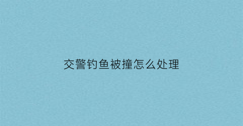 交警钓鱼被撞怎么处理(交警钓鱼执法举报电话)