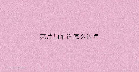 亮片加袖钩怎么钓鱼(亮片钩子上需要挂饵吗)