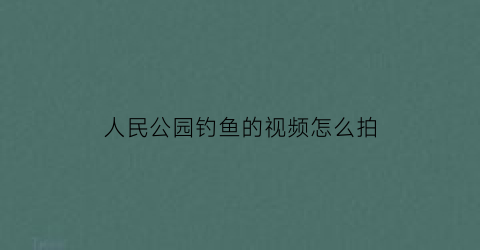 “人民公园钓鱼的视频怎么拍(人民公园钓鱼场)