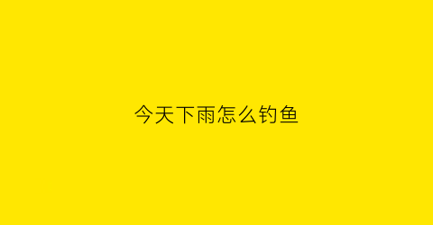 今天下雨怎么钓鱼