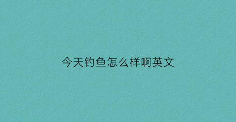 今天钓鱼怎么样啊英文(今天去钓小鱼用英文怎么说)