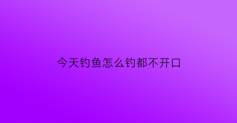 今天钓鱼怎么钓都不开口(今天怎么钓不到鱼)