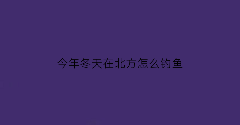 今年冬天在北方怎么钓鱼(北方现在这个季节用什么好钓鱼)