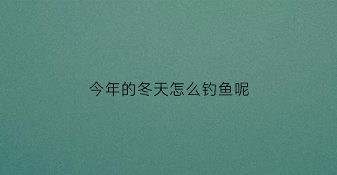 “今年的冬天怎么钓鱼呢(今年冬天怎么样天气)