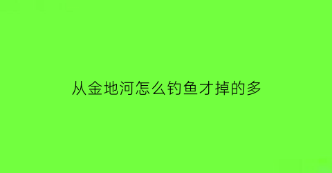 从金地河怎么钓鱼才掉的多