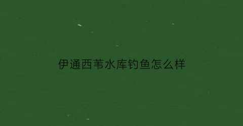 “伊通西苇水库钓鱼怎么样(伊通县西苇镇领导班子)