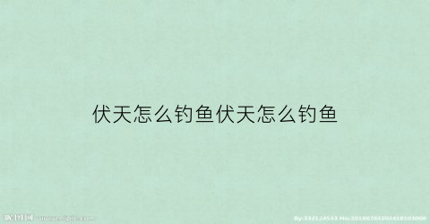 伏天怎么钓鱼伏天怎么钓鱼(伏天怎么选钓位)
