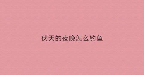 伏天的夜晚怎么钓鱼(伏天夜钓鲤鱼技巧)