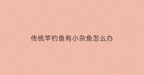 传统竿钓鱼有小杂鱼怎么办(传统竿钓鱼有小杂鱼怎么办啊)