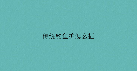 传统钓鱼护怎么插(钓鱼鱼护的正确使用)