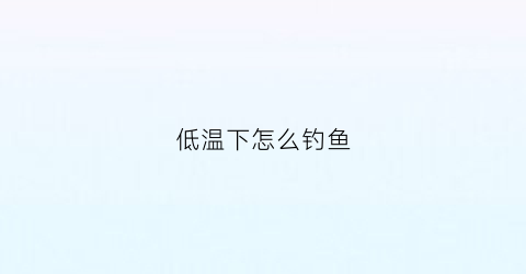 低温下怎么钓鱼(低温怎么钓鱼最好)