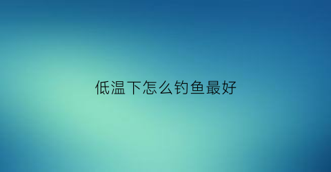 “低温下怎么钓鱼最好(低温下怎么钓鱼最好视频)