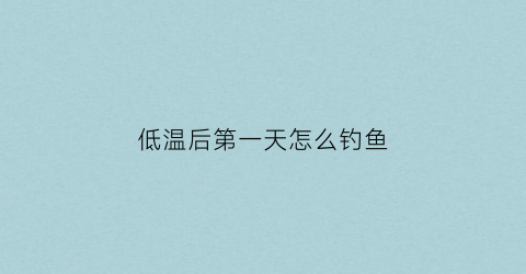 低温后第一天怎么钓鱼(低温天气钓鱼用什么饵料)