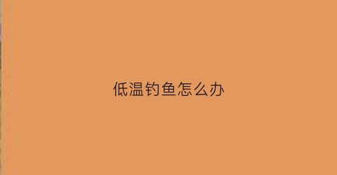 低温钓鱼怎么办