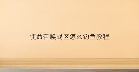 使命召唤战区怎么钓鱼教程(使命召唤战区入门教学)