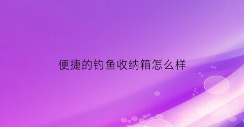 便捷的钓鱼收纳箱怎么样(钓鱼工具收纳箱)