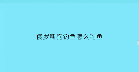 俄罗斯狗钓鱼怎么钓鱼(俄罗斯钓鱼星狗)