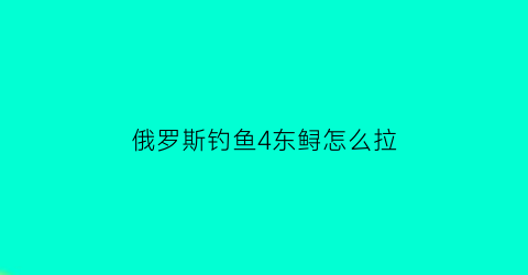 俄罗斯钓鱼4东鲟怎么拉(俄罗斯钓鱼4鲟鱼窝子配料)