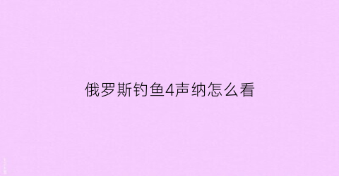 俄罗斯钓鱼4声纳怎么看(俄罗斯钓鱼4bgm)