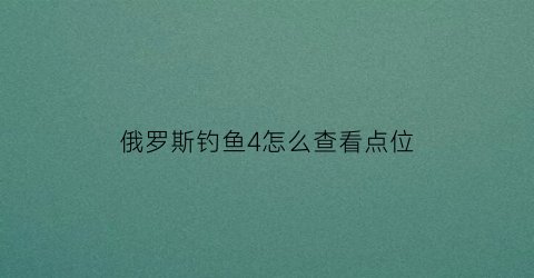 俄罗斯钓鱼4怎么查看点位