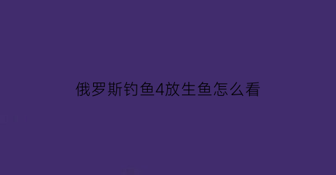 俄罗斯钓鱼4放生鱼怎么看(俄罗斯钓鱼4放生有什么用)