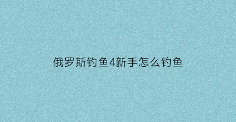 俄罗斯钓鱼4新手怎么钓鱼(俄罗斯钓鱼4新手钓组怎么弄)