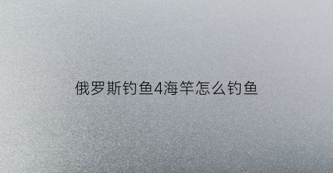 俄罗斯钓鱼4海竿怎么钓鱼(俄罗斯钓鱼4海竿叫什么名字)