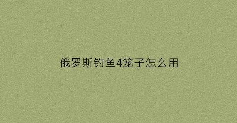 俄罗斯钓鱼4笼子怎么用(俄罗斯钓鱼4鱼钩)