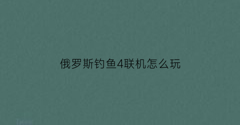 俄罗斯钓鱼4联机怎么玩(俄罗斯钓鱼4如何联机)