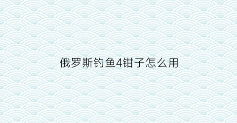 俄罗斯钓鱼4钳子怎么用(俄罗斯钓鱼4专业鱼刀)