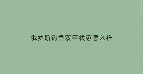 俄罗斯钓鱼双竿状态怎么样(俄罗斯钓鱼149套杆)