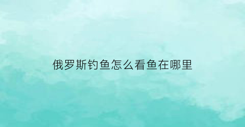 俄罗斯钓鱼怎么看鱼在哪里(俄罗斯钓鱼位置怎么看)
