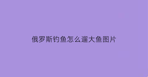 “俄罗斯钓鱼怎么遛大鱼图片(俄罗斯钓鱼怎么遛大鱼图片)