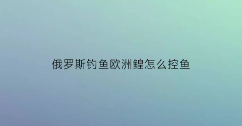 俄罗斯钓鱼欧洲鳇怎么控鱼(俄罗斯钓鱼钓ob)