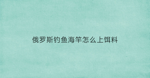 俄罗斯钓鱼海竿怎么上饵料(俄罗斯钓鱼149海竿套装介绍)