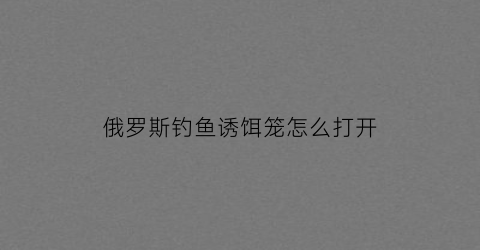 俄罗斯钓鱼诱饵笼怎么打开(俄罗斯钓鱼冲手工饵)