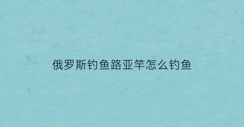 俄罗斯钓鱼路亚竿怎么钓鱼(俄罗斯钓鱼路亚怎么用)