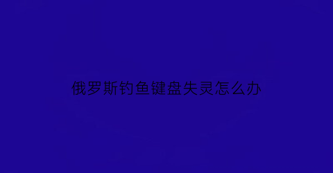 俄罗斯钓鱼键盘失灵怎么办(俄罗斯钓鱼按键指南)