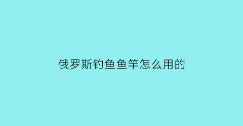 俄罗斯钓鱼鱼竿怎么用的(俄罗斯钓鱼技能竿)