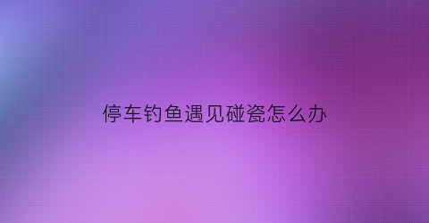停车钓鱼遇见碰瓷怎么办(停车钓鱼执法)