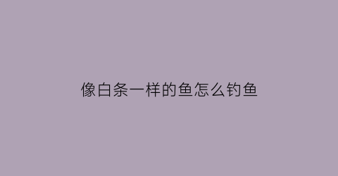 像白条一样的鱼怎么钓鱼(像白条一样的鱼叫什么)