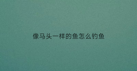 像马头一样的鱼怎么钓鱼(长的像马头的鱼)