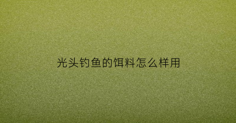 光头钓鱼的饵料怎么样用(光头钓鱼的饵料怎么样用的)