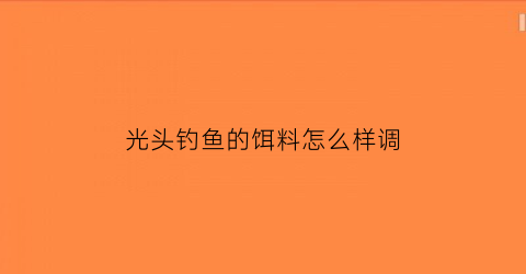 “光头钓鱼的饵料怎么样调(光头钓鱼图片)